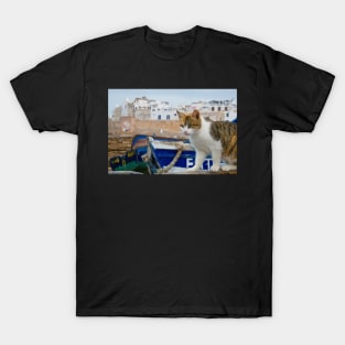 Maroc - Chat d'Essaouira T-Shirt